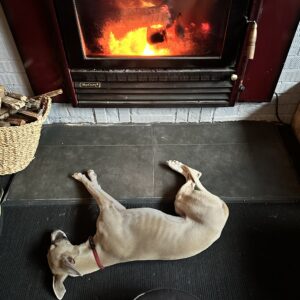 Whole Energy Body Balance